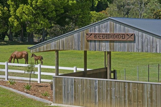 517 Currumbin Creek Road, Currumbin Valley Real Estate For Sale 